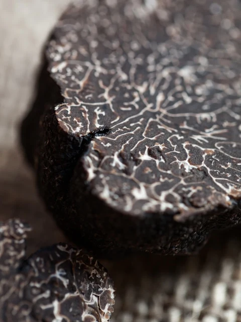 Australian Fresh Winter Black Truffles - Image 2