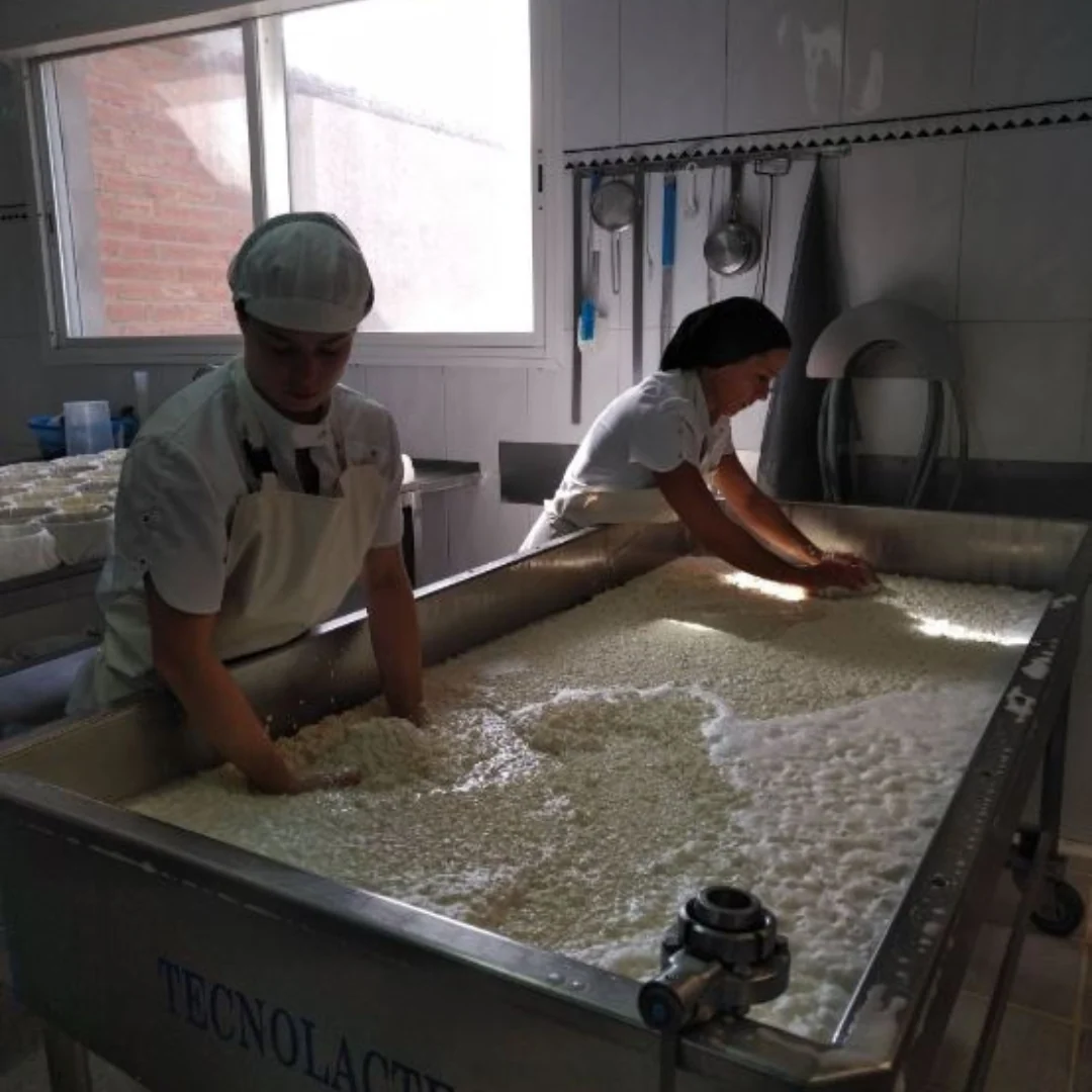 Garrotxa Goat Cheese - Image 3