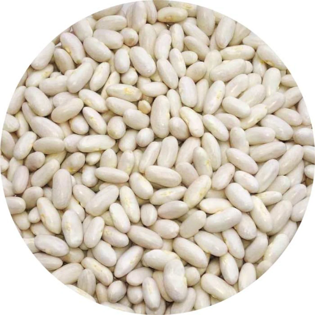 Italian Cannellini Beans - Image 10