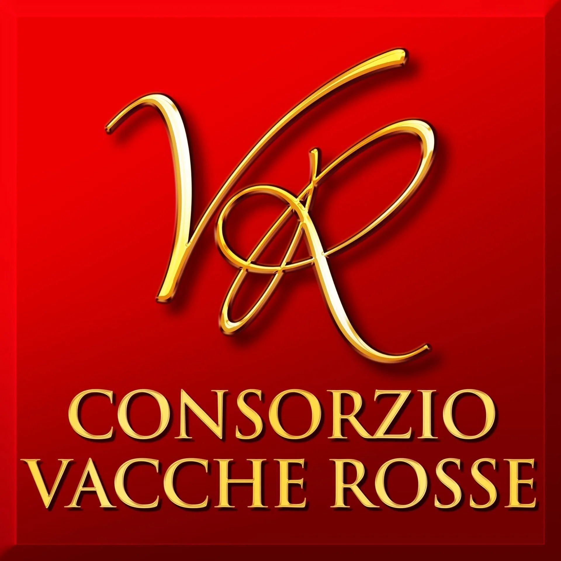 Parmigiano Reggiano di Vacche Rosse (Red Cows) 24 Months Cheese - Image 7